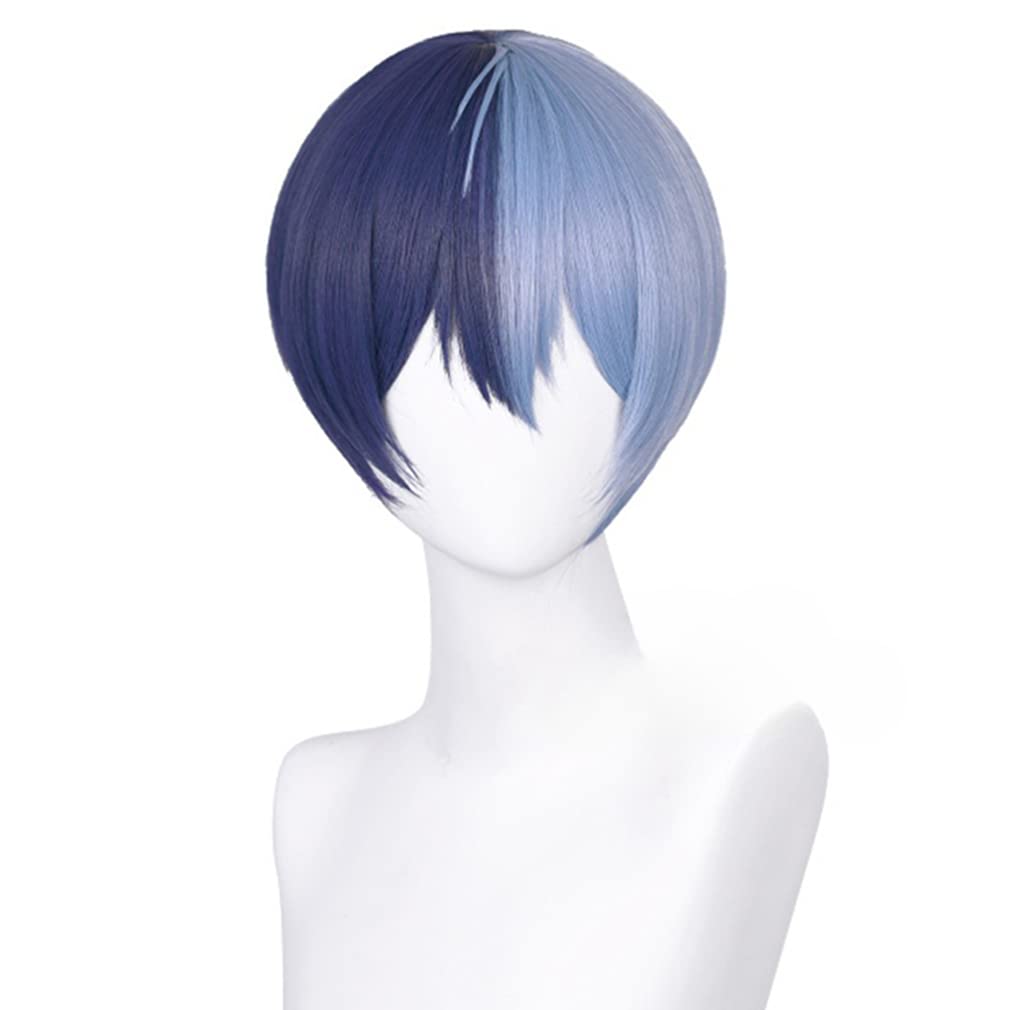 LAOBAO KAITO Kaito Disguise Wig Costume Accessory Cosplay Blue Wig Heat Resistant Party Halloween Costume School Festival Event cosplay wig (Aoyagi To