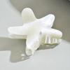 Exquisite New 1pc Claw Clip, Blue Dolphin and Starfish Acrylic Hair Claw, Rear Head Accessory