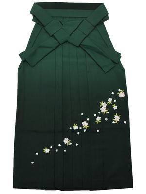 Graduation Ceremony Single Cherry Blossom Size Spatula Graduation Party [KIMONOMACHI] [Kyoto Kimonomachi] Hakama, Item, Gradation, Embroidery,