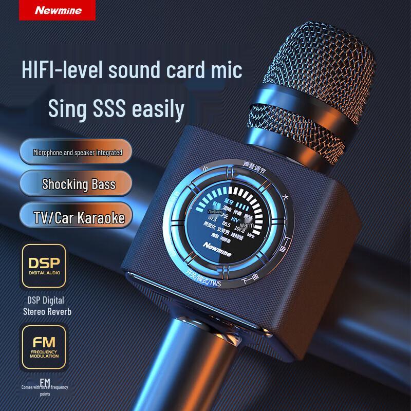 Newmine MC66 Wireless Karaoke Microphone with Integrated Speaker