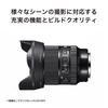 Sigma 24mm F1.4 DG DN Lens for Sony E-mount Art Black