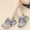 Silver Dad Shoes Women's Comfortable Casual Versatile Explosive Sports Shoes Small Height Increase Thick Sole Cm Fashion Women's Shoes