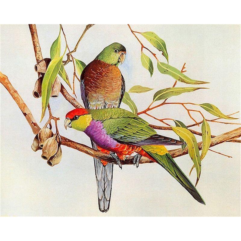 5d Full Diamond Painting Birds Mosaic Diamond Embroidery Creative Gift  Wall Paintings