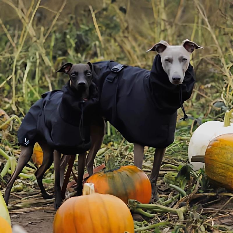 Modischer Regenmantel für Airless Terrier Weiche Welpenkleidung Warmer wasserdichter Mantel für Italienischen Windhund Whippet Hundejacke