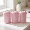 3 Pieces Kitchen Canister Set Airtight Storage Countertop Metal Canisters with Lids for