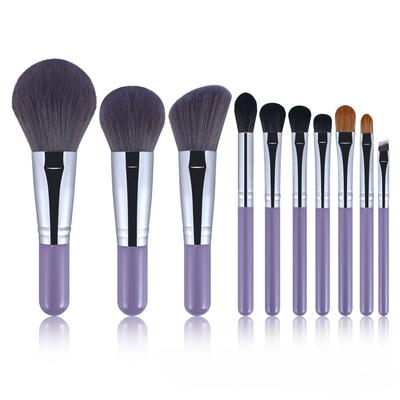Complete Set of Makeup Brush Set, Blush Brush, Eye Brush, 10 Mini Travel Makeup Brush Set, Portable Eye Beginners