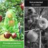 100PCS Fruit Protection Bags Anti-Bird Garden Netting Bags Strawberry Grapes Mesh Bag Plante Vegetable Netting Cover Garden Tool