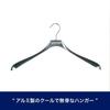 Dulton Aluminum Cloth Hanger CH10-H411N, 44cm Wide