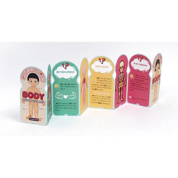 Mapa lidského těla Ver. 2 puzzle, 1, 85 dílků, Korea Best Batole Puzzle