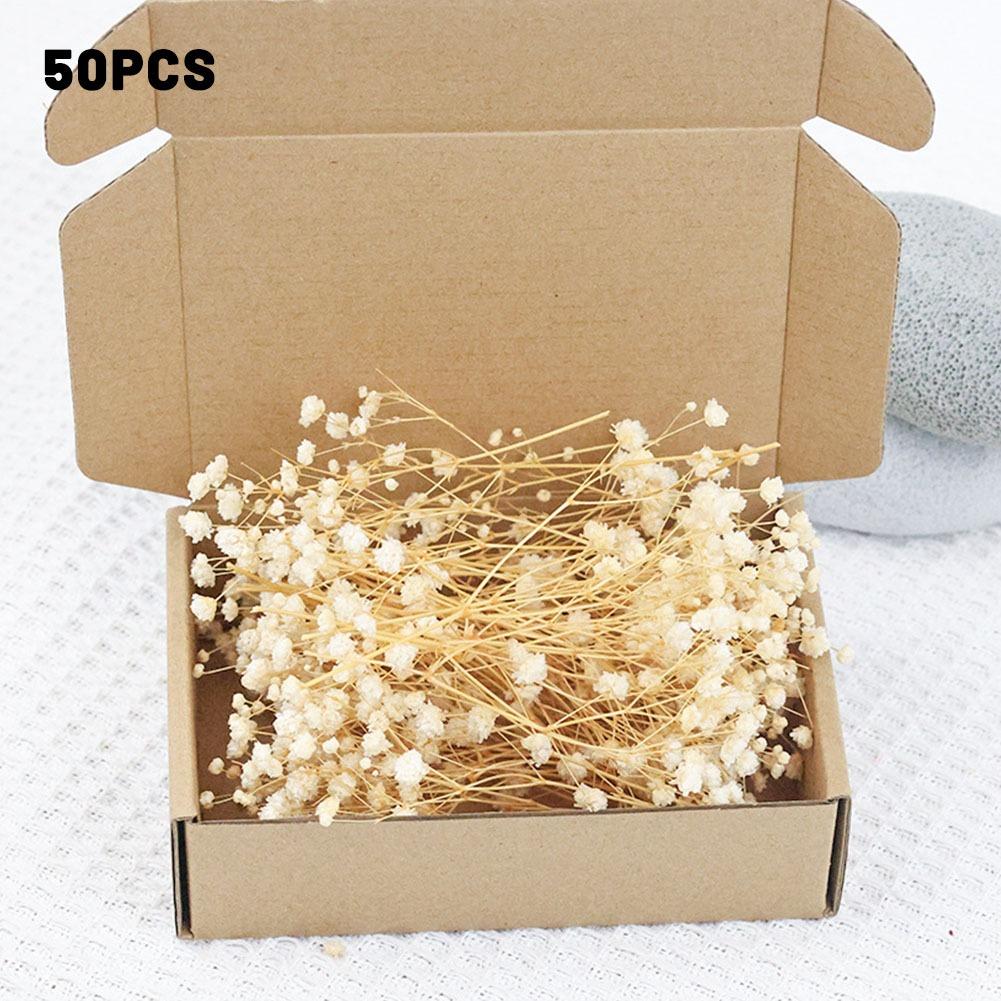 50 шт. 6-15 см Натуральные Свежие Сушеные Цветы Гипсофила метельчатая, Букеты из цветов Дыхание ребенка, Свадебное Домашнее Украшение