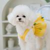 Dog Dress for Small Dogs Luxury Dog Clothes Chihuahua French Bulldog Bichon Dog Costume Pet Clothing Pet Vest Puppy Skirt