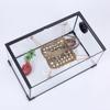 Hamaca de Reptil Lagarto de Algas Hamster Césped para Reptiles Cama para Mascotas Hamaca Columpio Juguete Colgante para Reptiles Mascotas Suministros