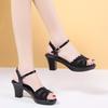 Summer Shoes Open Toe Sandals for Women's Sandals Single Shoes Women Shoes Elegant Sandals Black Shoes