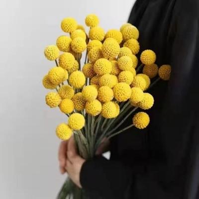 Deko & Wohnaccessoires