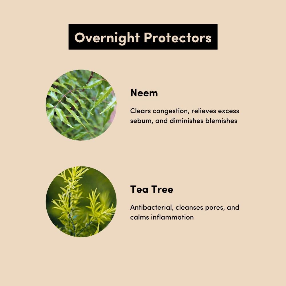 Urban Veda Neem Teebaum Hautklärendes Nacht-Hydratationsmittel 1,6 oz