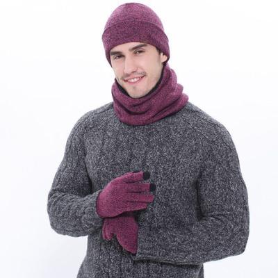 Warmes Plüsch-verdicktes Hut-Schal-Schal-Schirmhandschuhe-Dreiteiliges Set für Erwachsene