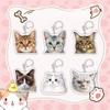 Creative Cat Shape Keychain Mini Animal Toy Keyrings Acrylic Animals Key Chain Pendant DIY Keychains Crafts Decorations