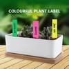 100 Pezzi Etichette per Piante da Giardino Accessori per Piante Vasi da Fiori Etichette di Plastica per Piante Etichette per Vivaio Vassoio Etichette Marcatore Strumento DIY