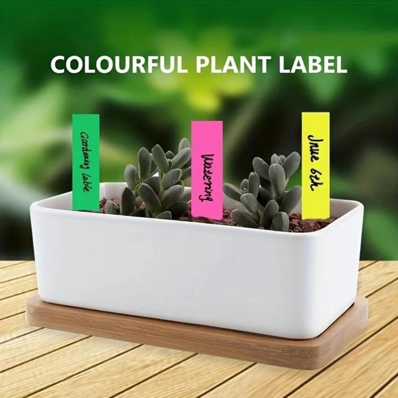 100 Pezzi Etichette per Piante da Giardino Accessori per Piante Vasi da Fiori Etichette di Plastica per Piante Etichette per Vivaio Vassoio Etichette Marcatore Strumento DIY