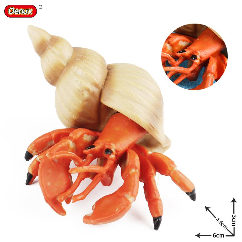 Oenux Sea Life Animals Coral Octopus Nautiloidea Crab Starfish Ocean Model Action Figures Educational Collection Toy Kid Gift