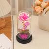 Butterfly Water Brick Gold Foil Flower with Lamp Glass Cover, Bedroom Rose Night Light Ornament, Valentine's Day and Mother's Day Gift.