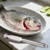 Fish Scaler,304 Stainless Steel Fish Scaler Remover,multifunctional Sawtooth Fish Descaler Tool for Quick & Easy Fish Cleaning,Family Kitchen,Seafood