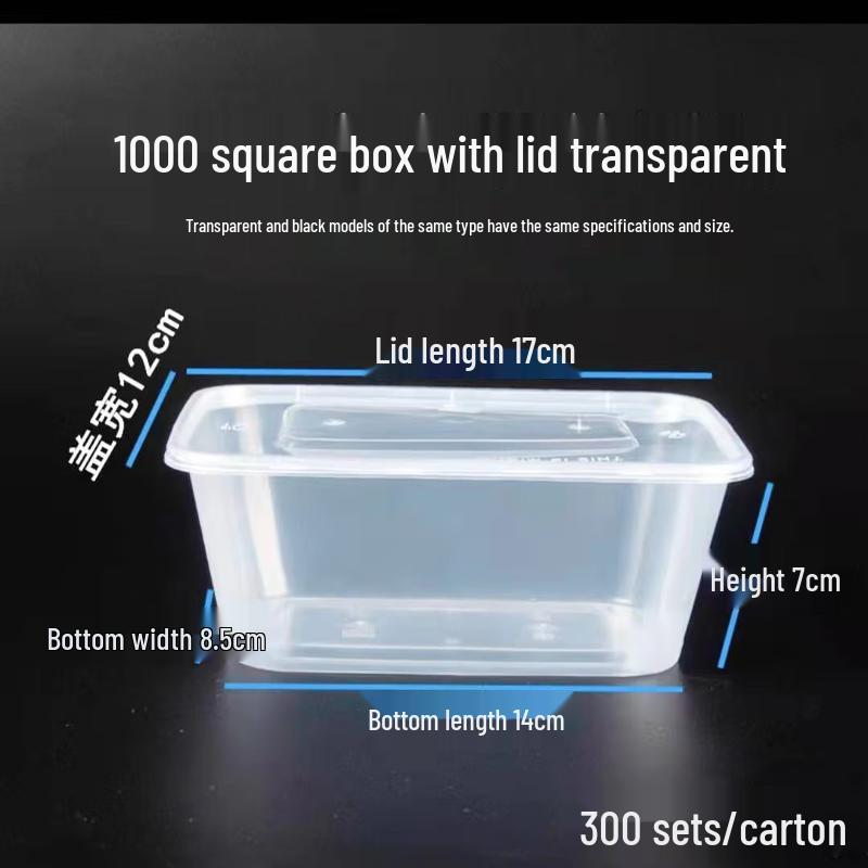 LAOXIANGHE 1000ml Rectangular Disposable Food Containers