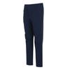 Regatta Mens Highton Winter Hiking Trousers