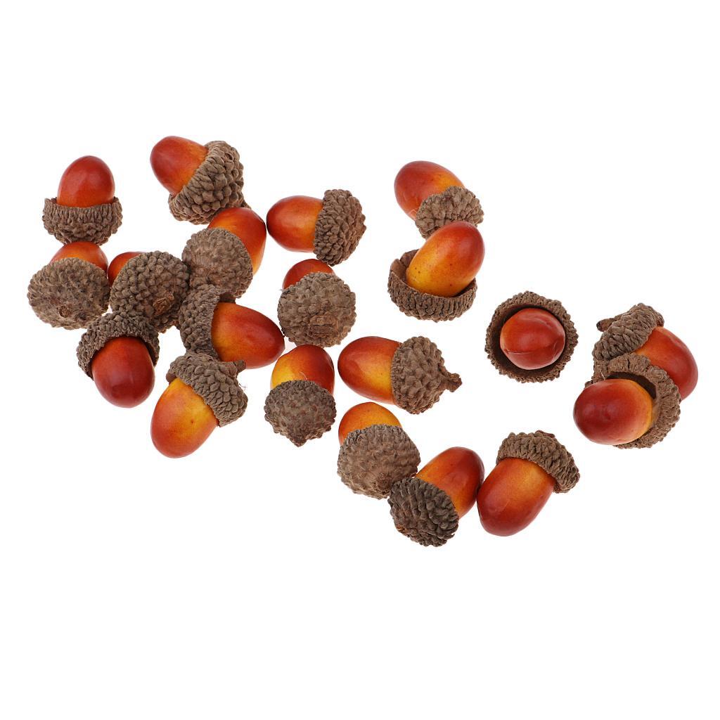 100Pcs Natural Acorns Real Acorns Caps Home DIY Christmas Natural Acorn