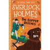 Copper Beeches (Easy Classics): Stories and Storytellers
