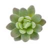 Diy Simulated Succulent Plant Hair Planting, Mini Fake Succulent Bonsai With Flowers, More Than 20 Styles Of Bn1