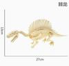 Dinosaurierskelett-Modell für Ausstellungen und zum Sammeln