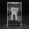 3D Lasers Etched Crystal Human Organs Model Anatomical Heart/Teeth Figurines Glass Paperweight with LED Base Doctor