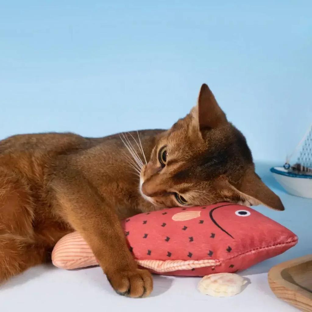 Cat Toy Kitten Printed Pillow Toys High Quality Ocean Fish Catnip Toy Durable Pet Interactive Chew Toy Pet Gnawing Sound Toy