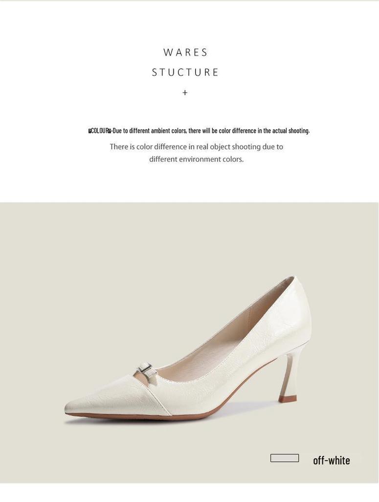 BEIJIANI 3358-23 French Minimalist Commuter Stiletto Heels for Women