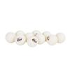 DHS Sai Ding Series Ping Pong Balls