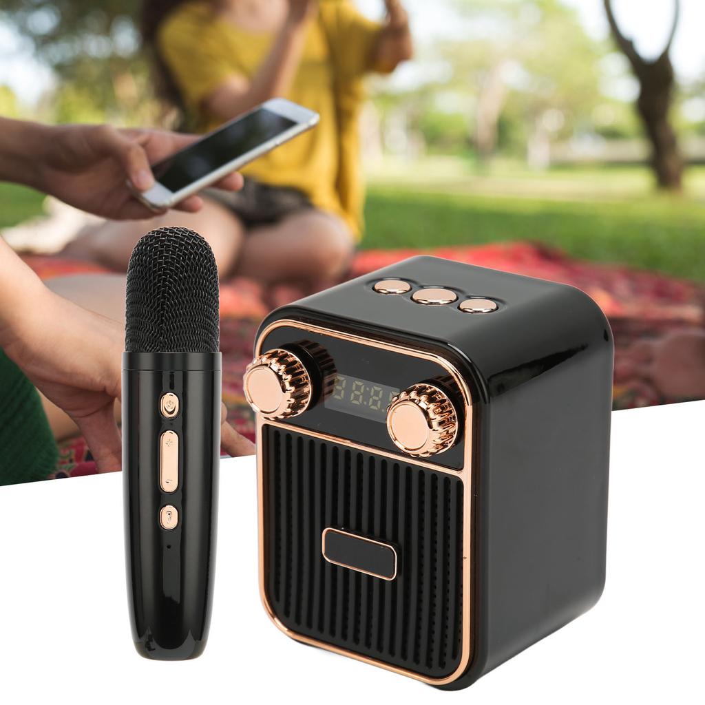 Karaoke Machine HiFi Stereo Sound Portable Speaker with Microphone for Kids Gifts