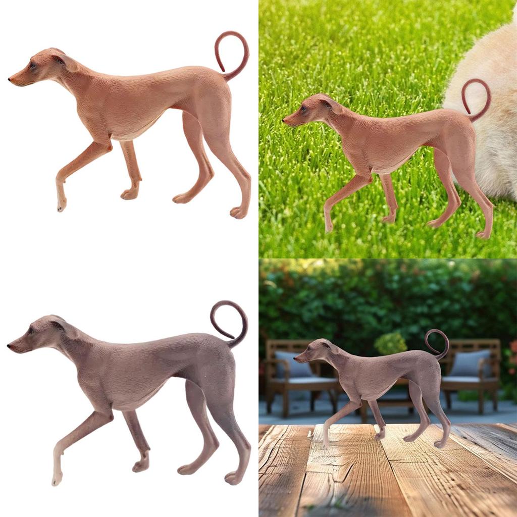 Simulation Model Collectible Puppy Sculpture Realistic Dog Figurine Azawakh Dog Statue for Shelf Hotel Party Fireplace Farmhouse