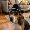 Adjustable Dog Cowboy Hat Breathable Cat Sunscreen Hat Dog Fisherman Hat Dog Visor Cat  Pet Party