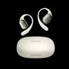 SANAG C16S Open-Ear Hook True Wireless Sports Earphones