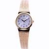 CROTON Women's Watch RT-119L-3Y