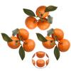 9 Stück Künstliche Orangenfrucht-Set aus Schaumstoffmaterial für Küchentisch Bar Display Dekorationen und Fotografische Requisiten