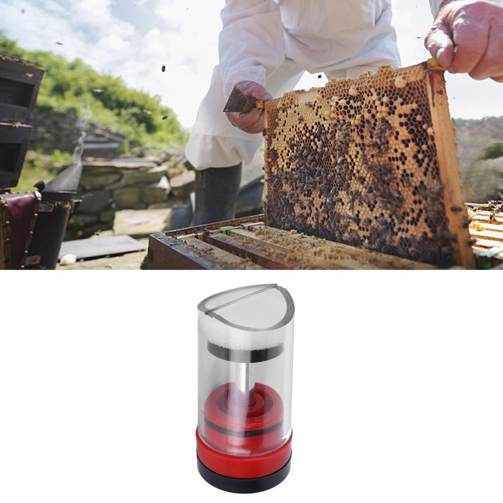 Plastic Queen Bee Catcher Cage High Quality Queen Bee Marking Tube  Bee Catching