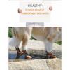 4pcs Dog Shoes No-Slip Waterproof Boots Breathable Rain Wear Paw Protector Outdoor Sock for Small Medium Dogs Dropshipping
