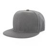 Spring/Summer Trendy Unisex Polyester Flat Brim Hat with Embroidered Logo - European & American Style