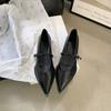 French low-heeled shoes, small fragrant wind pointed single shoes women's 2025 spring and autumn new Mary Jane women's shoes, thick-heeled work shoes