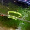 Aquarium Feeding Ring Fish Tank Station Floating Food Tray Feeder Square Circle Accessories Fish Foods Feeder Suction Cup