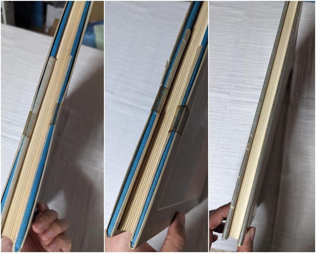 [USED] SNAKES, CROCODILES and LIZARDS Foreign Books Photo Collection