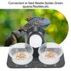 Reptilien Saugnapf Futter Näpfe Futterbehälter mit Schale für Reptilien Futter und Wasser Fütterung Reptilien Futterspender Haustierbedarf