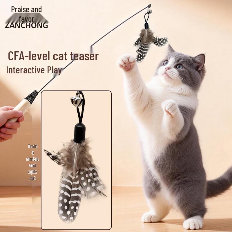 Zanchong Detachable Feather Cat Teaser Wand (2-Pack)